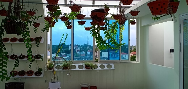 Cua Nhom Xingfa Nhap Khau 08